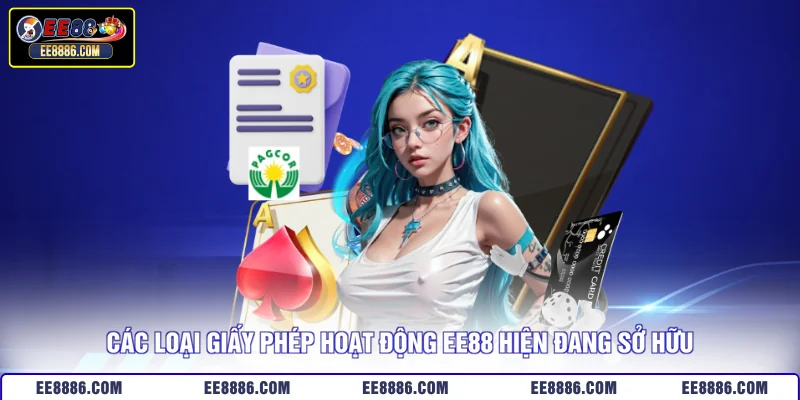 Các loại giấy phép hoạt động EE88 hiện đang sở hữu