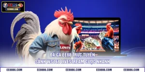 Đá Gà EE88 Trực Tuyến - Sảnh WS168 Livestream Cược Nhanh
